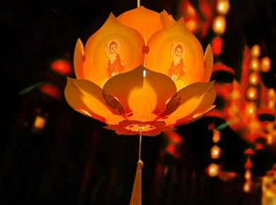 3 nghịch lý về lồng đèn hoa sen nhựa trên thị trường bạn cần biết