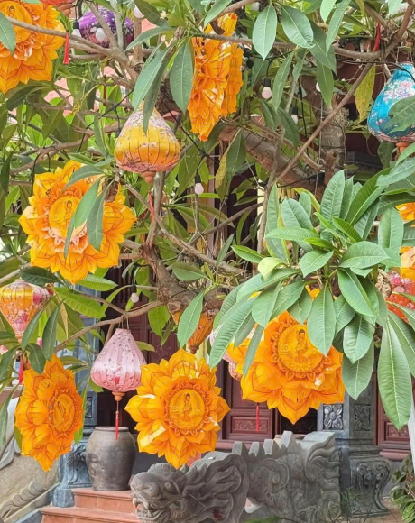 Thầy Minh Đức