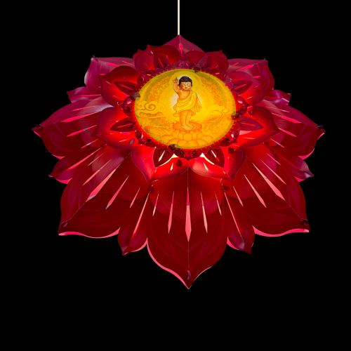 Lồng Đèn 