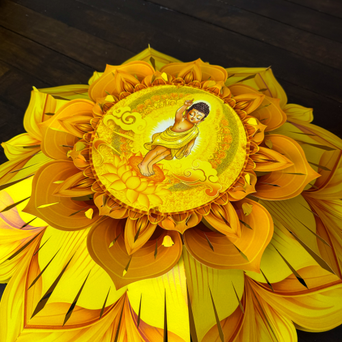 Lồng Đèn 