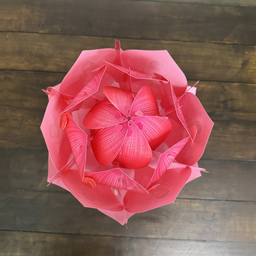 Lồng Đèn Hoa Sen Hồng Hình 35CM Mới Nhất 2025 - TAYTA 