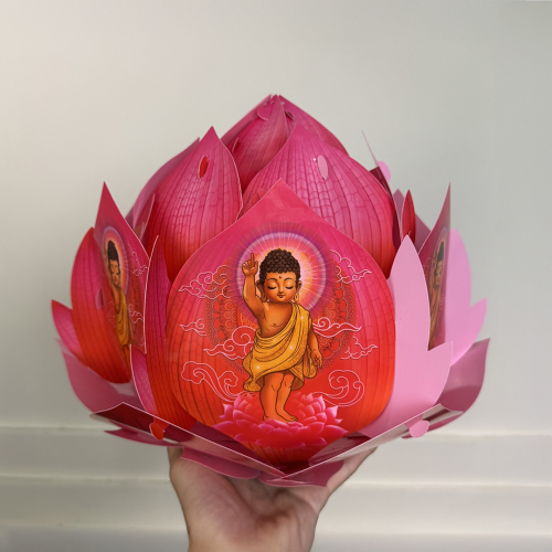 Lồng Đèn Hoa Sen Hồng Hình 35CM Mới Nhất 2025 - TAYTA 