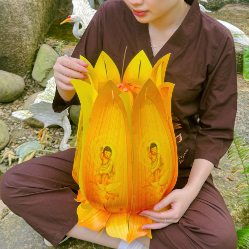 41cm - Lồng Đèn Hoa Sen Lục Bình - TAYTA