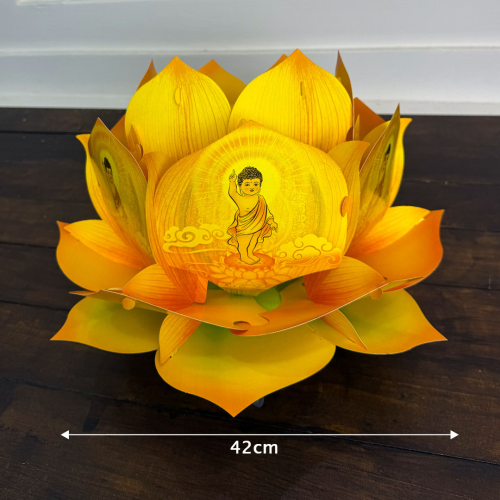 [42cm] Lồng Đèn Hoa Sen Nhựa Cỡ Lớn Mẫu Mới Nhất - TAYTA